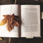 Cozy up this fall with some new reads. (Image: Unsplash)