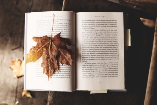Cozy up this fall with some new reads. (Image: Unsplash)