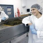 A Seaweed Farmer Talks Kelp, 2023's Hottest Superfood
