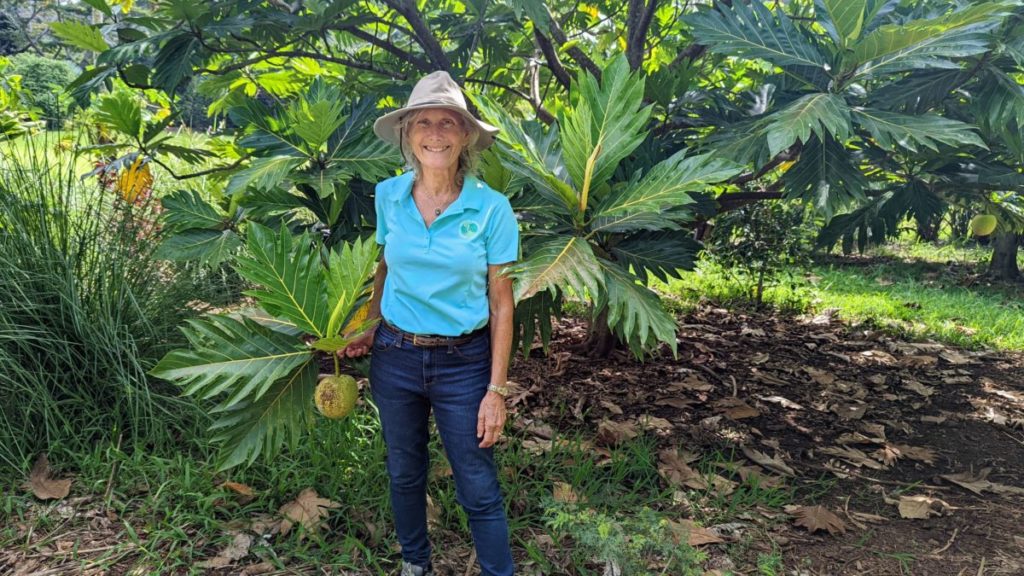 Diane Ragone shows off breadfruit, a nutritious food source that can thrive in increasingly hot conditions. (Credit: Lucy Sherriff)