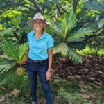 Diane Ragone shows off breadfruit, a nutritious food source that can thrive in increasingly hot conditions. (Credit: Lucy Sherriff)