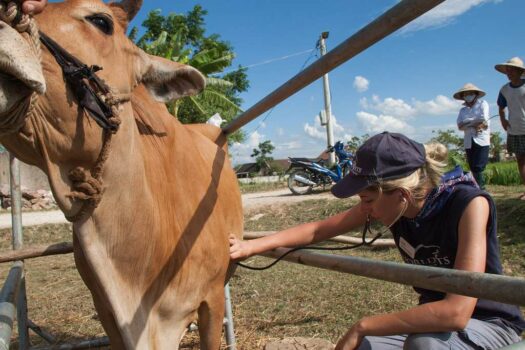 women veterinarians sexism