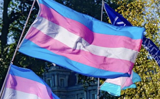 Trans Day of Remembrance Trans Women Entrepreneurs