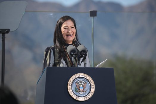 Deb Haaland New Mexico Governor Woman Candidate Native American