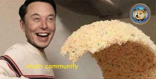 Doge Task Force Trump Musk DEI