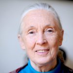 Jane Goodall Women We Lost 2025