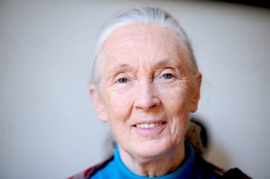 Jane Goodall Women We Lost 2025