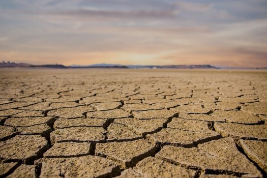 Women scientists are often racing against the clock to adapt our world to the dangers of climate change. (Credit: Live Once Live Wild, on Flickr)