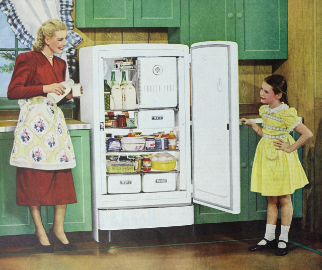 COLD WAR HOUSEWIFE BECAME ICON OF AMERICAN LIFE
